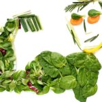 The Role of Nutrition in Maintaining a Healthy Lifestyle